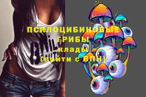 прущие грибы Армянск