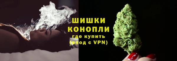 прущие грибы Армянск