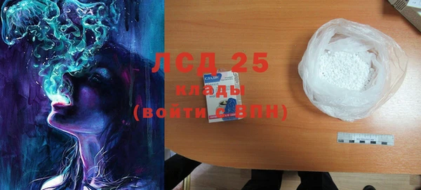 прущие грибы Армянск