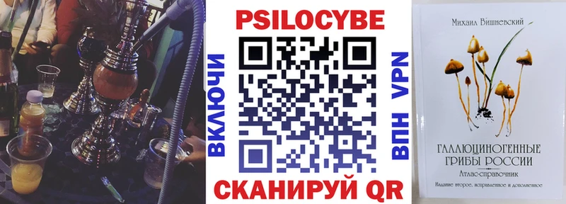 kraken tor  Новоалтайск  Галлюциногенные грибы мицелий 